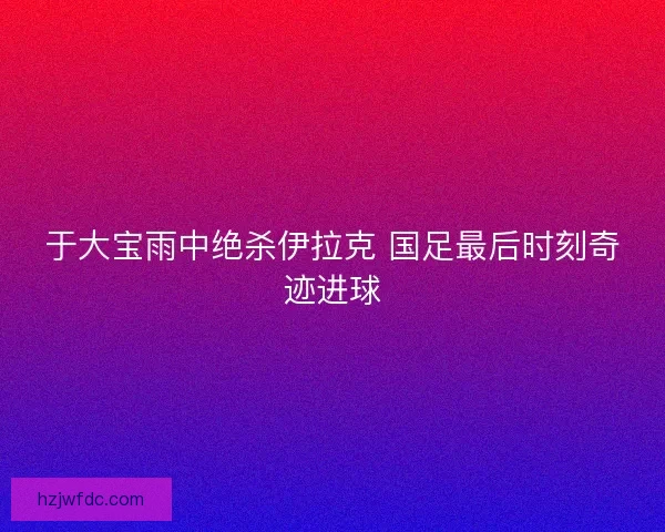 于大宝雨中绝杀伊拉克 国足最后时刻奇迹进球